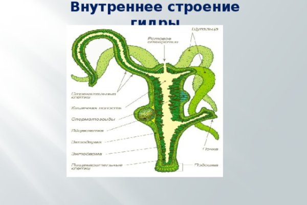 Кракен москва наркотики