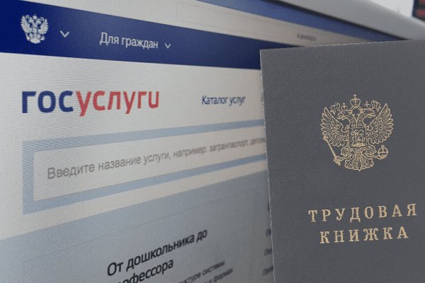 Пользователь не найден на кракене