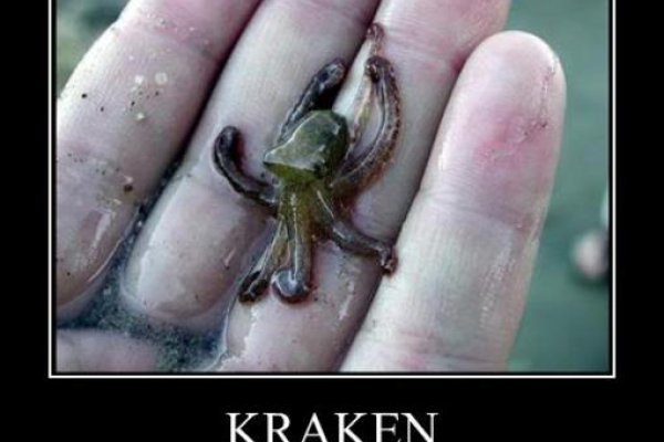 Kraken найдется все