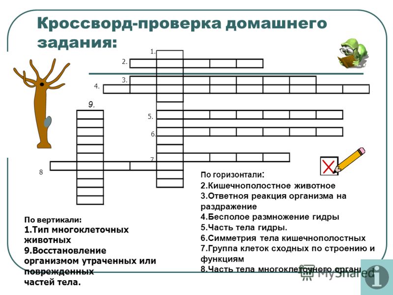 Как загрузить фото в кракен через тор